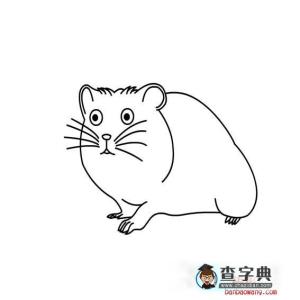 简笔画动物画法教程 简笔画鼹鼠画法教程