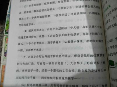 优美散文摘抄200字 关于优美散文摘抄200字