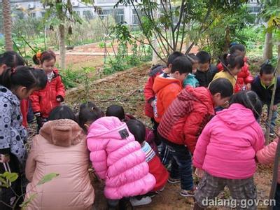 幼儿园植树节活动计划 幼儿园3.12植树节活动计划范文