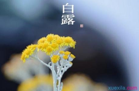 白露时节有什么习俗