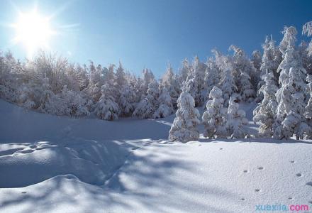形容景色优美的成语 关于冬天景色优美的好句好段