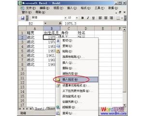 excel2003合并单元格 Excel2003怎样为重要的单元格添加简介和说明