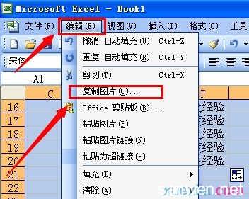 excel2007截图快捷键 Excel2007中简单操作截图的使用方法