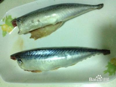 鲅鱼的烹饪技巧 鲅鱼的5种烹饪方式