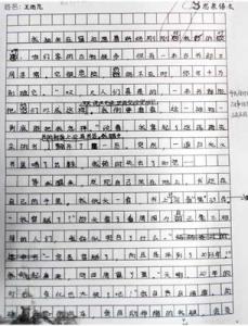 中考记叙文作文600字 中学生优秀作文记叙文