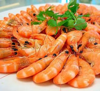 虾食用禁忌 虾的4种做法及食用禁忌