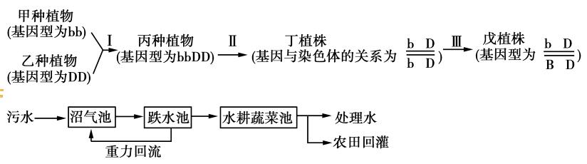 2017高考生物冲刺阶段复习方法