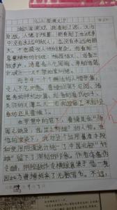 读书笔记300字20篇 读书笔记大全300字