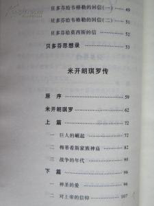 给托尔斯泰的一封信 致贝多芬米开朗琪罗托尔斯泰一封信700字