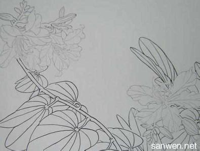 简单白描花卉图片大全 简单中国画白描花卉图片