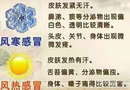 辨别风热感冒风寒感冒 风寒感冒与风热感冒的区别