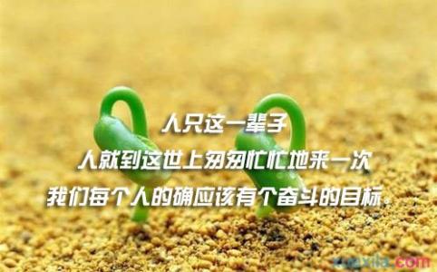 逆境与成功的名人名言 逆境成功名言