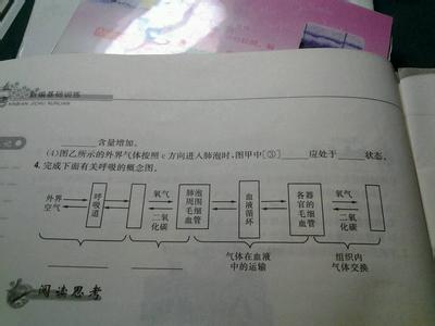 初一生物第一章测试题 初一生物第二单元测试题