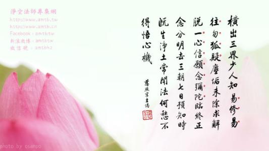 古典优美句子 关于佛教的优美古典句子