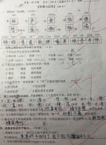 四年级上学期语文试卷 小学语文四年级上学期期中试卷