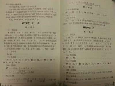 初三上册物理教学视频 初三物理上册教学计划