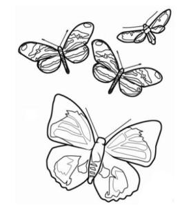 简单的素描图片初学者 初学画画简单素描蝴蝶图片