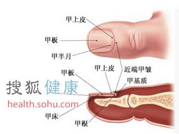 肝脏排毒不好的表现 肝脏不好的表现及排毒时间