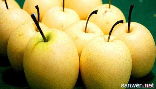 梨子种类 梨子的治疗作用 梨子的种类