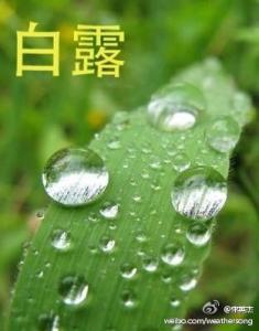 白露的谚语 白露时节的谚语