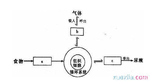 成语接龙 一视同仁如何成语接龙