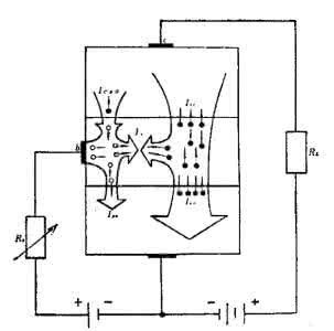 股票入门基础知识 ldo基础知识