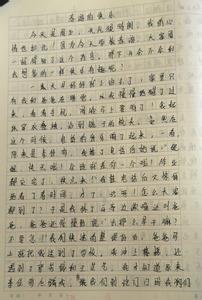 春游作文500字 我们去春游作文500字4篇