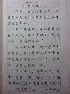 打羽毛球日记600字 关于打羽毛球的600字日记