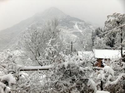 杨家将传奇拥有全武器 爱情传奇《雪拥蓝关》