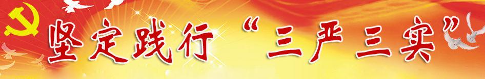 践行三严三实发言稿 践行“三严三实”发言材料