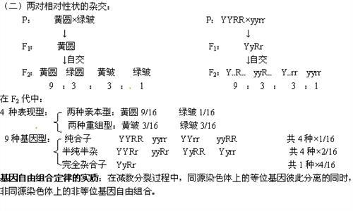 高考生物易错知识点 高中生物分子与细胞易错知识点总结