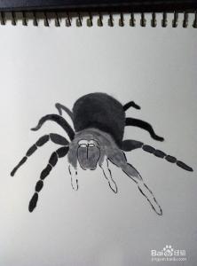 我的世界我是一只蜘蛛 一位熊爹画了一只3D的蜘蛛