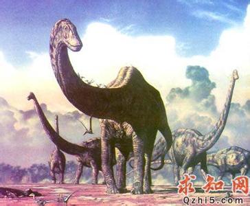 世界上最大的恐龙 世界上最大的恐龙是哪种