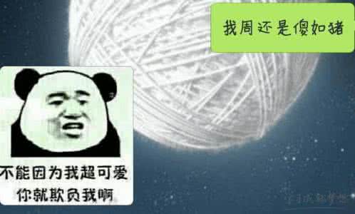 自夸自恋经典句子 自夸自恋的经典句子