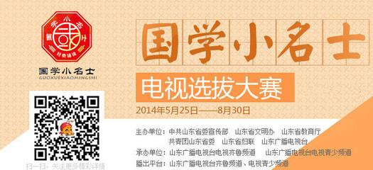 国学小名士2016观后感 国学名士观后感2016 3篇