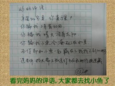 感动作文评语 作文一件感动的事评语