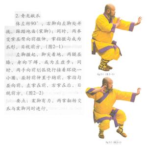 少林青龙剑 少林青龙拳