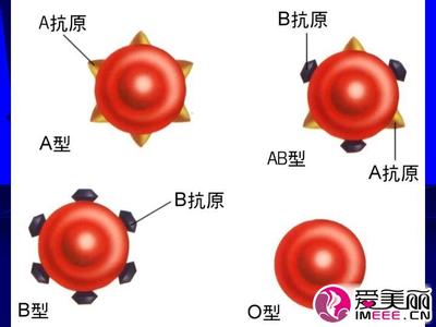 哪种血型的人最漂亮 哪种血型的人最长寿