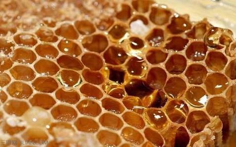 中药蜂房的功效与作用 蜂房的功效与作用