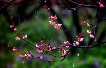 梅雨季节养生 梅雨季节怎么养生好