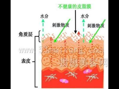 护肤品过敏成分 护肤品中的什么成分导致过敏