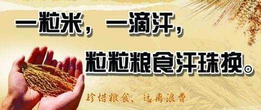 珍惜粮食的名人名言 珍惜粮食的名人名言名句