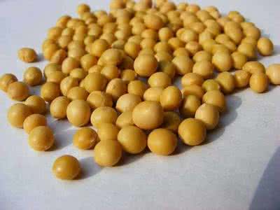 红小豆的功效与作用 黄豆的功效与作用及禁忌