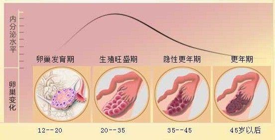 卵巢保养手法步骤 卵巢保养的手法