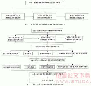 论文国内外研究现状 我国会计委派制的研究论文