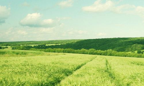 赞美大自然作文结尾 赞美大自然作文