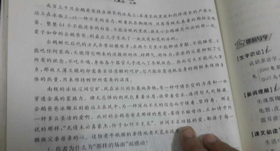 父爱作文300左右 关于父爱的短文章300字左右