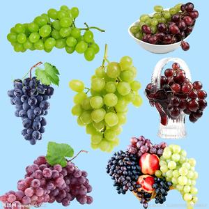 葡萄醋的做法详细介绍 葡萄有哪些做法 葡萄的做法介绍