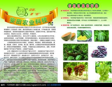 绿色食品宣传语 绿色食品的广告宣传词_绿色食品的广告推广词