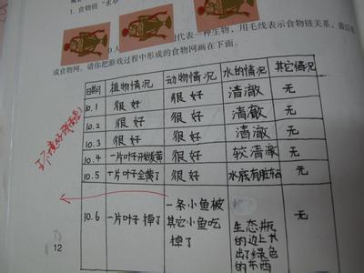 小学数学日记：解答数学暑假作业